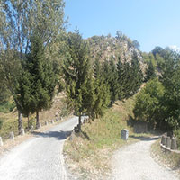 Image description
